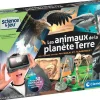 Animaux De La Planète Terre En Réalité Virtuelle
