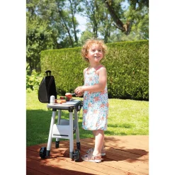 Barbecue plancha