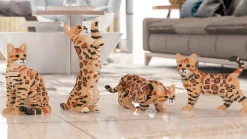 Bengal 4 En 1 Brun Bloc de Construction Jekca