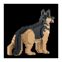 Berger Allemand