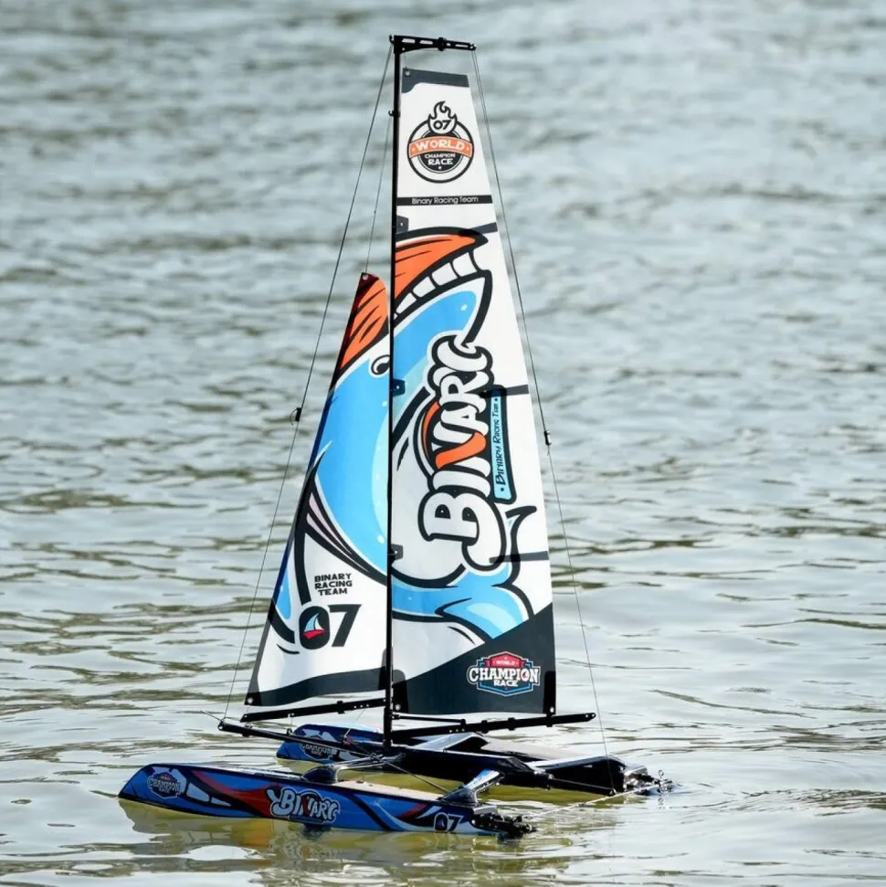 Catamaran radiocommandé