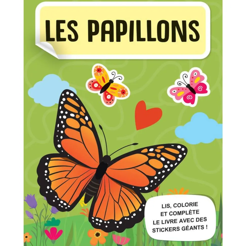 Coffret Mega Arts et crafts les papillons