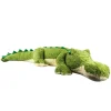 Crocodile 165 cm