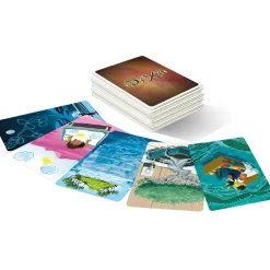 Dixit Extension Mirrors