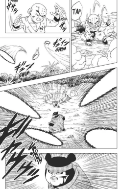 Dragon Ball Super - Manga Tome 13 : Combats divers
