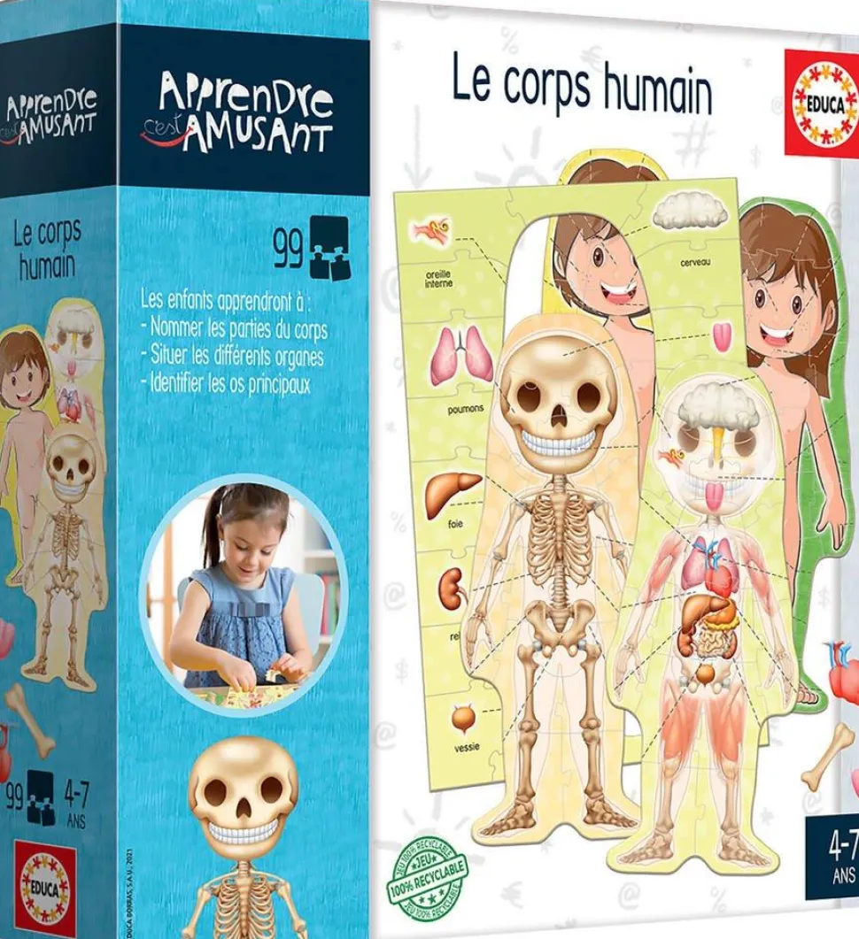 Educa Borras - Le Corps Humain, Jeu Éducatif