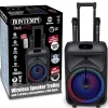Enceinte 300 watts sans fil