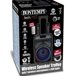 Enceinte 300 watts sans fil