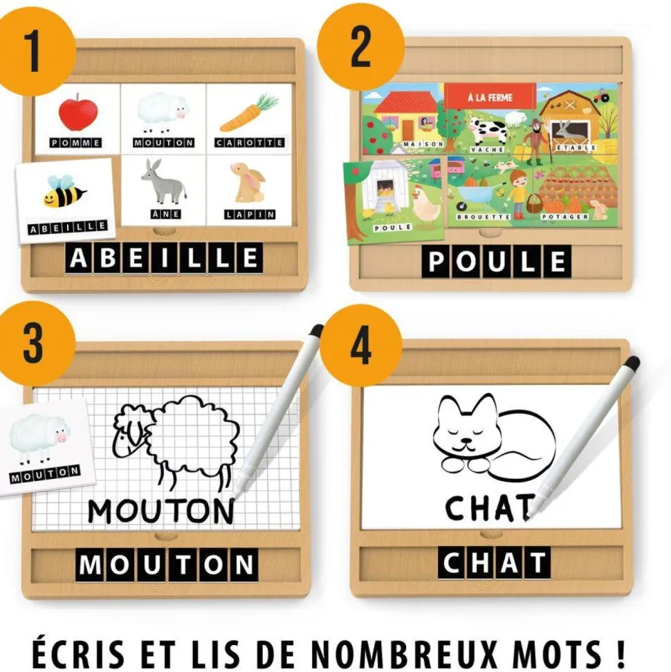 Encyclopédie des petits Montessori