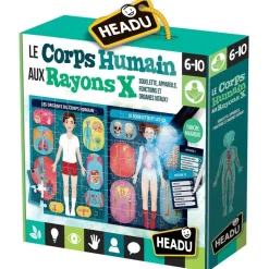 Exploration Du Corps Humain Via Les Rayons X - Headu