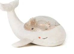 Famille de Baleines tranquilles blanches - Cloud B