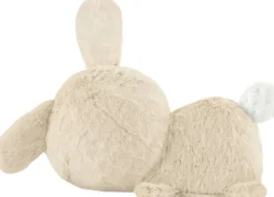 Fisher Price - Mon Lapin Super Dodo