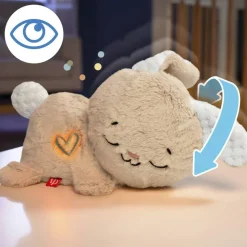 Fisher Price - Mon Lapin Super Dodo