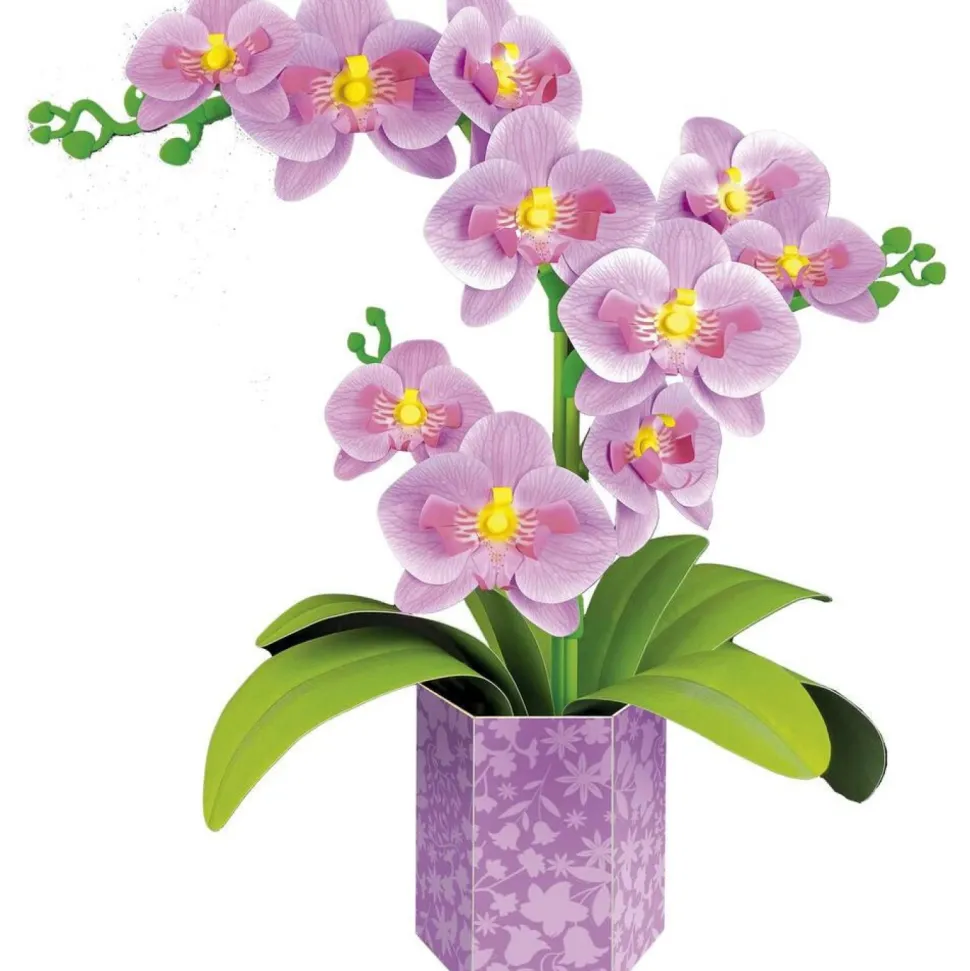 Floral art Orchidée