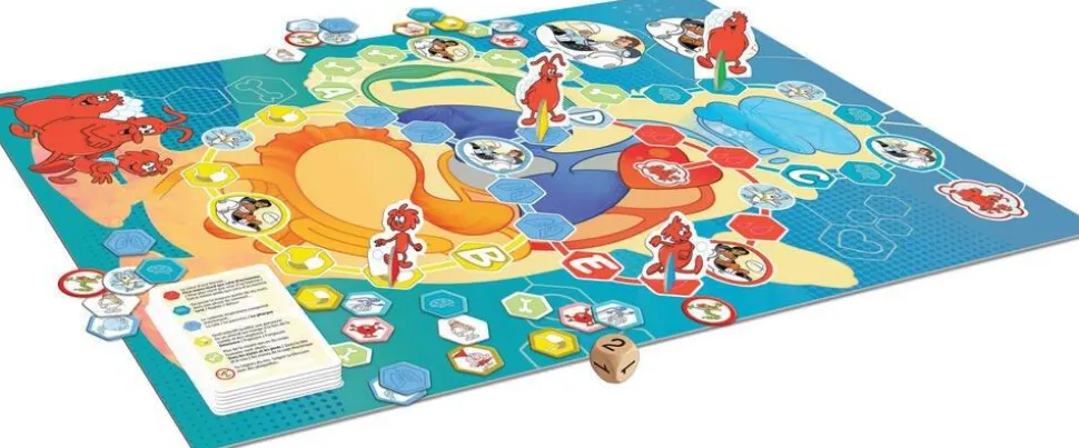 Hello Maestro - Il Était Une Fois La Vie, Le Jeu Éducatif