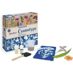 Herbier - atelier cyanotype