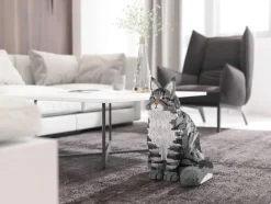 Jecka, Blocs De Construction - Chat Maine Coon Gris Assis