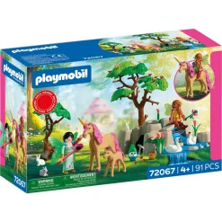 Journée avec les fées Playmobil 72067