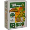 Kit Créatif - Mako Moulages Dino Tyrannosaure