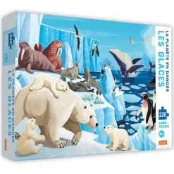 La Planète En Danger - Les Glaces