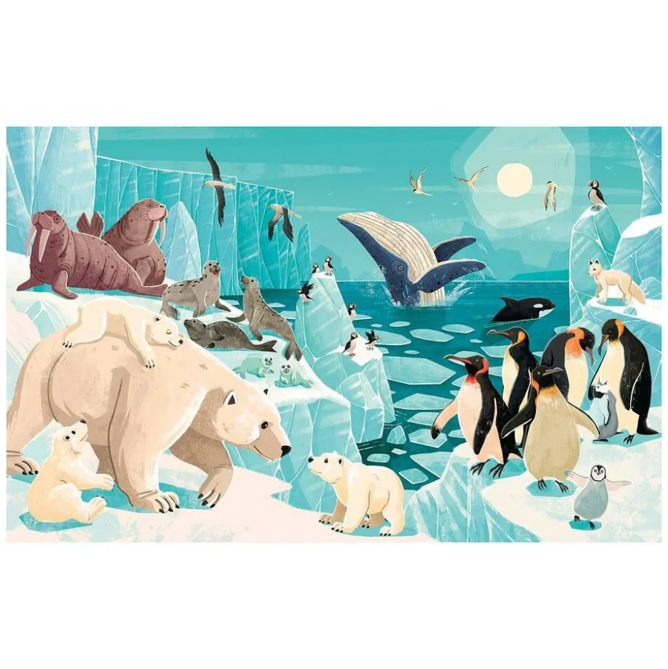 La Planète En Danger - Les Glaces
