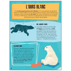 La Planète En Danger - Les Glaces