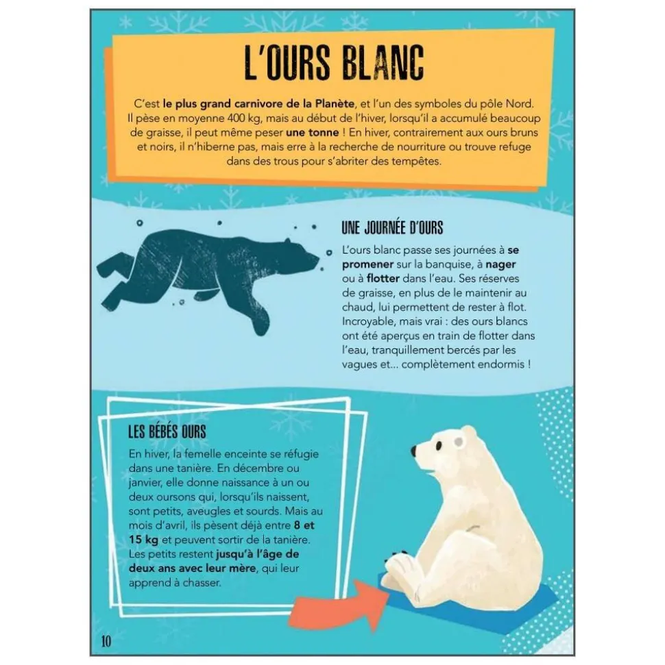 La Planète En Danger - Les Glaces