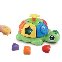 Ma tortue tourni-formes