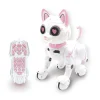 Power Kitty Mon chat robot savant