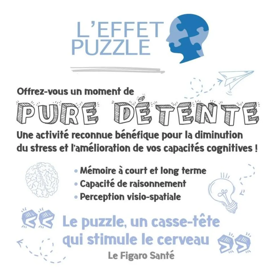 Puzzle 1000 pièces Les albums d'Astérix - Collection Mes héros Nathan