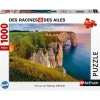 Puzzle 1000 pièces Vue surles falaises d'Etretat - Collection Des Racines et des Ailes Nathan